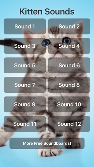 Kitten Sounds!(圖1)-速報App