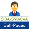 SOA: S90-04A - Project Delivery & Methodology