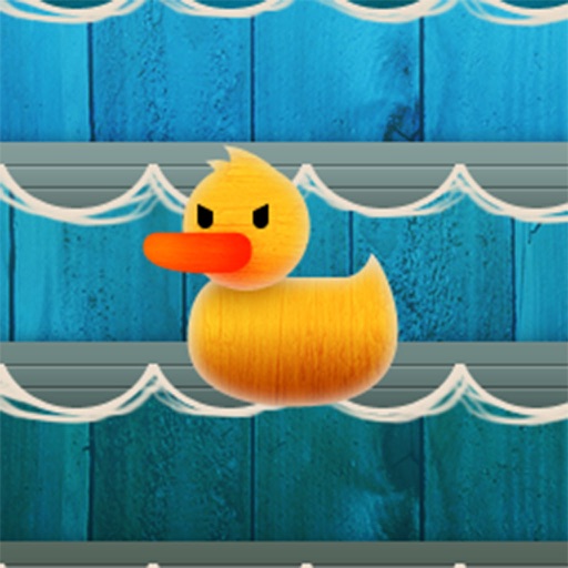 鸭子大射击-好玩的小游戏! icon