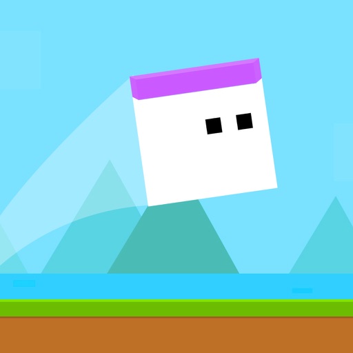 Just Jumping Flip On The Sky  &  Cube Ninja Challenge iOS App