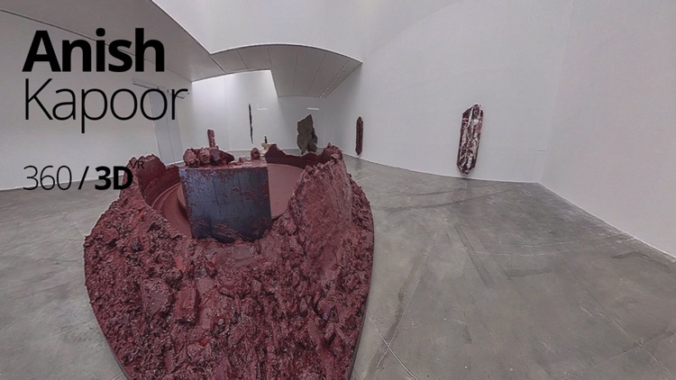 AnishKapoor3D360 screenshot-4