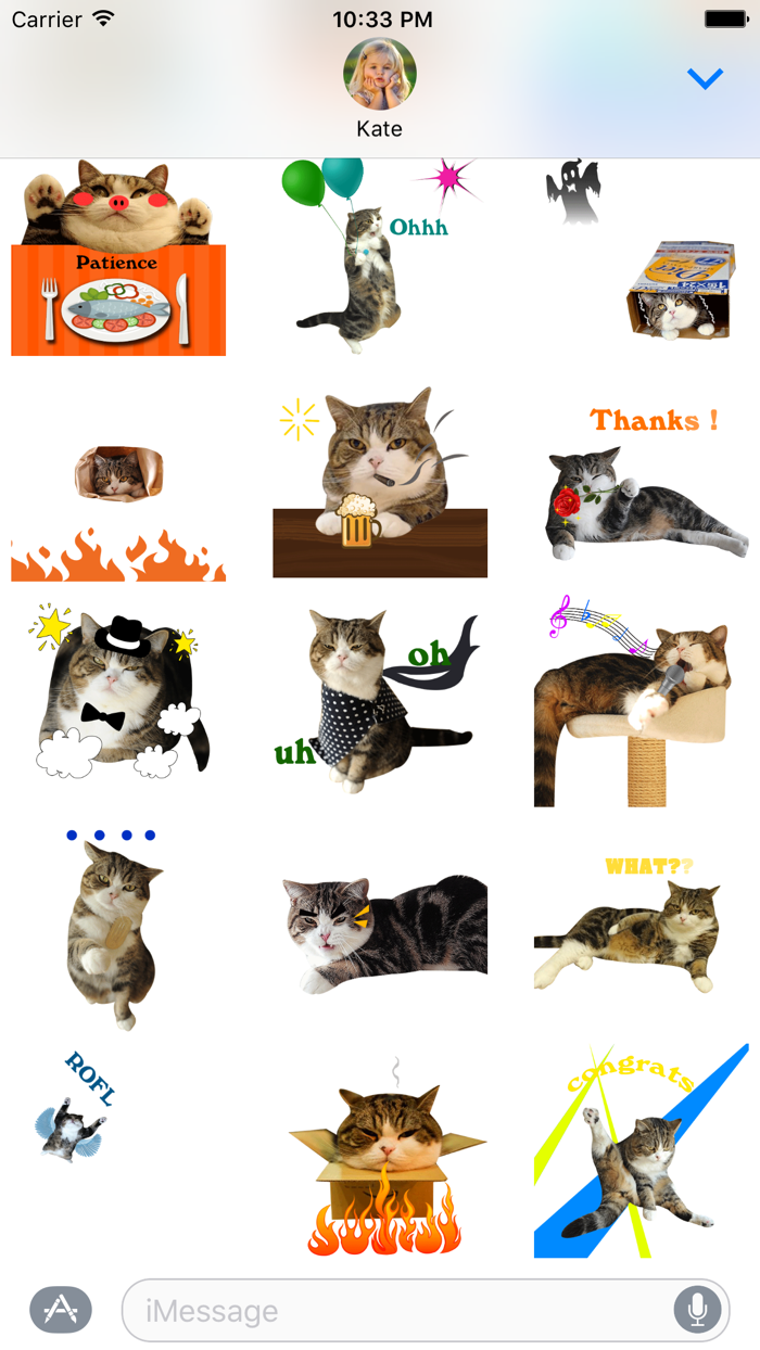 Molly The Cat Animated