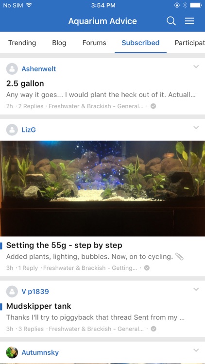 Aquarium Advice Forums