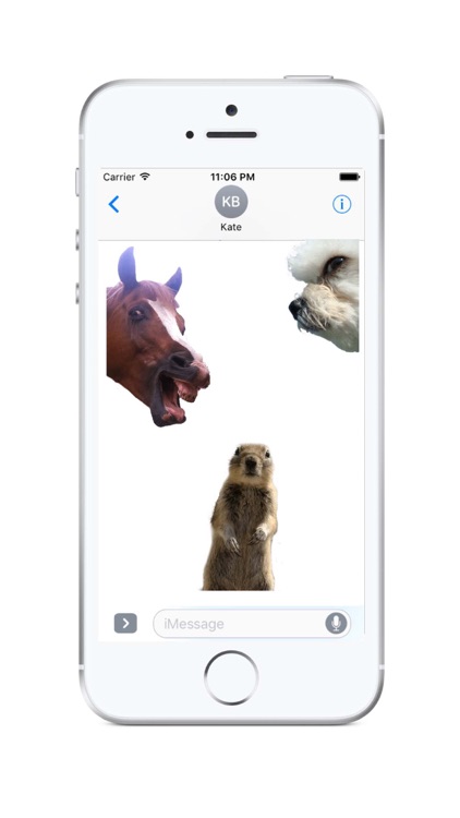 Animal Photobombs - Free, Classic, Horse, Llama