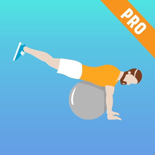 Exercise Ball Workouts & Stability Weighted Plans