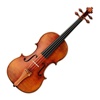 Violin Learning - Learn Play Violin With Videos