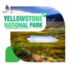 Yellowstone National Park Travel Guide