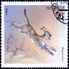 Stamp Catalog HD