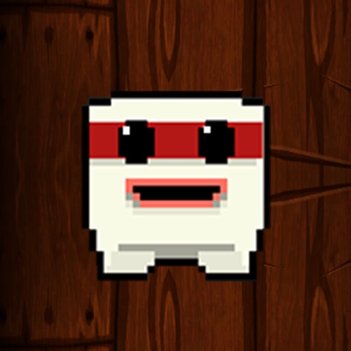 Tofu Ninja SE icon