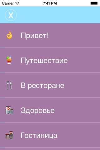 Translator Vocal & Dictionary Pro screenshot 2