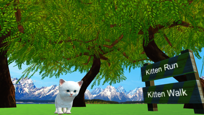 VR Kitten screenshot 5