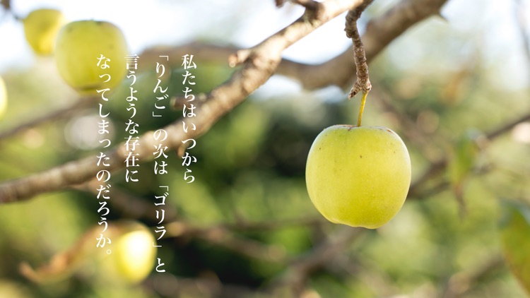 しりとりタイマー