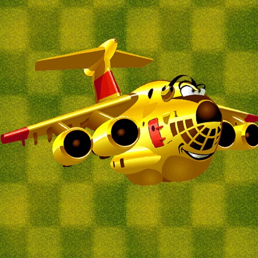 Flight Simulator icon