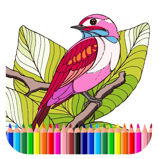 Party Robin Bird Adventure Coloring Book Free Game iOS App