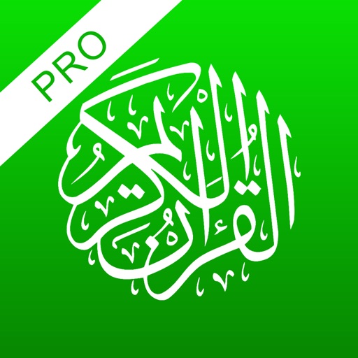 Quran Audio And Text Pro icon
