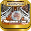 Hidden Object Museum Hunt