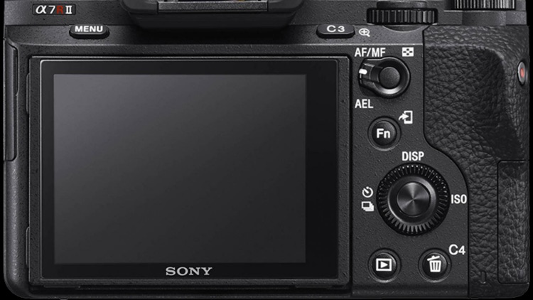 Virtual Camera For Sony a7Rii By Gary Fong