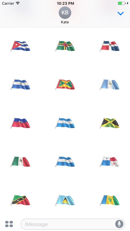 North America Flags