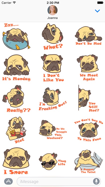 Puggy the Pug Stickers