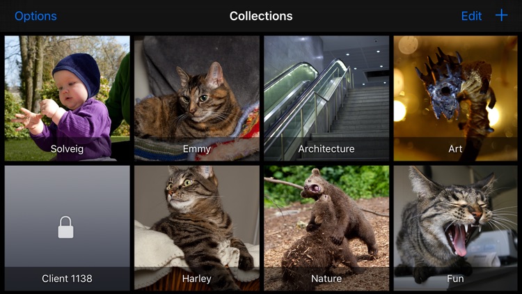 ShutterSnitch