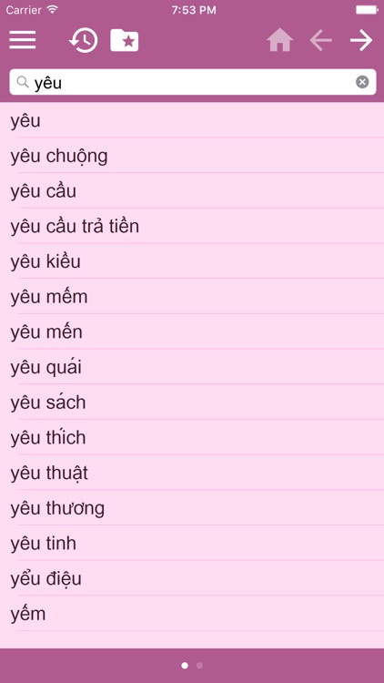 Vietnamese French dictionary