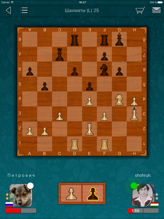 Шахматы LiveGames на iPad