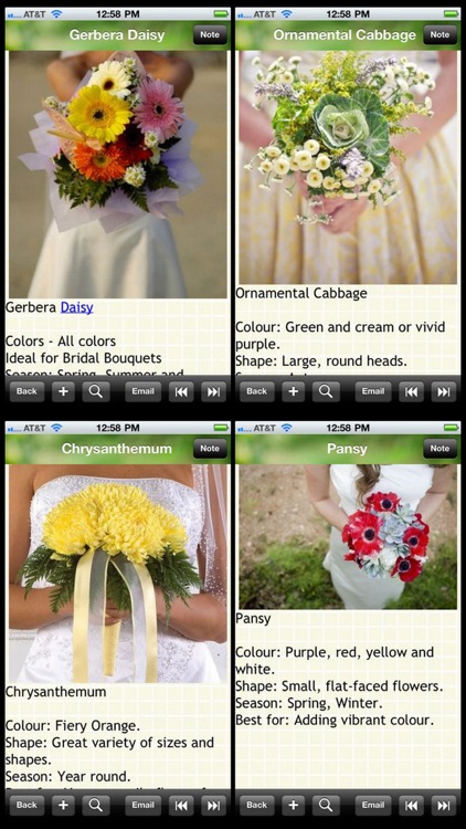120 Wedding Flower List