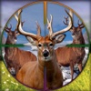 Wild Deer Challenge - 2017