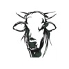 Bulls Head LFW