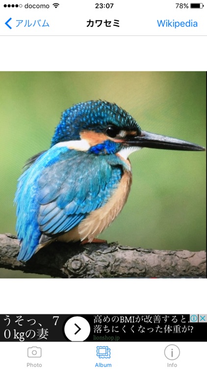 鳥判定機 screenshot-3