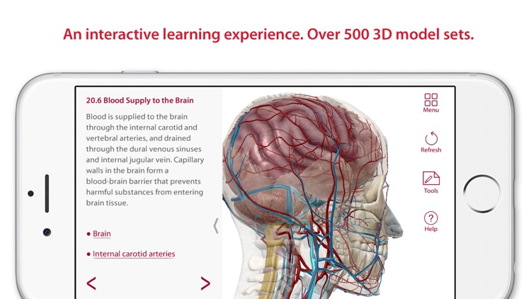 Anatomy & Physiology: Body Structures and Function