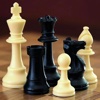Chess 101-Beginners Guide and Play Supports Tips