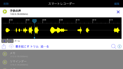 Smart Recorder グレー screenshot1