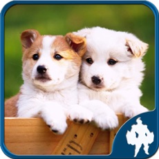 Activities of Dogs Jigsaw Puzzles - Titan