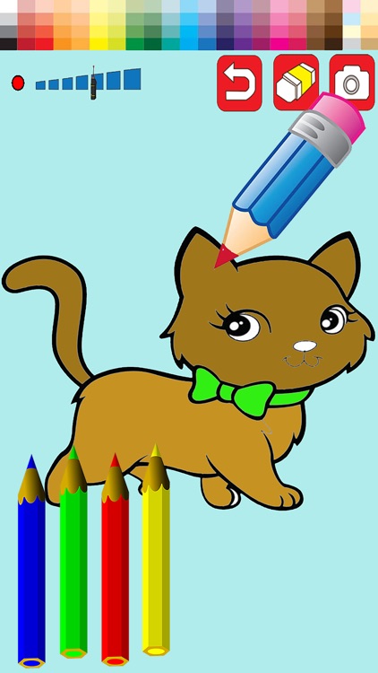 Exercise Painting and Coloring Cat Animal for Preschool