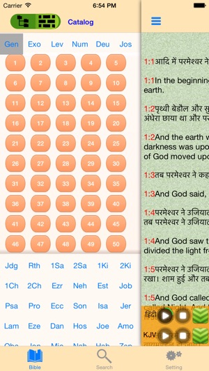 Hindi-English Bilingual Indian Audio Holy Bible(圖3)-速報App