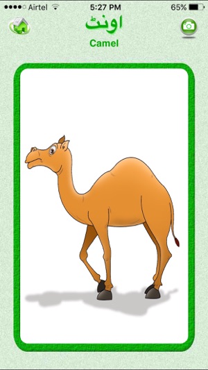 Flashcards Urdu Lesson(圖2)-速報App