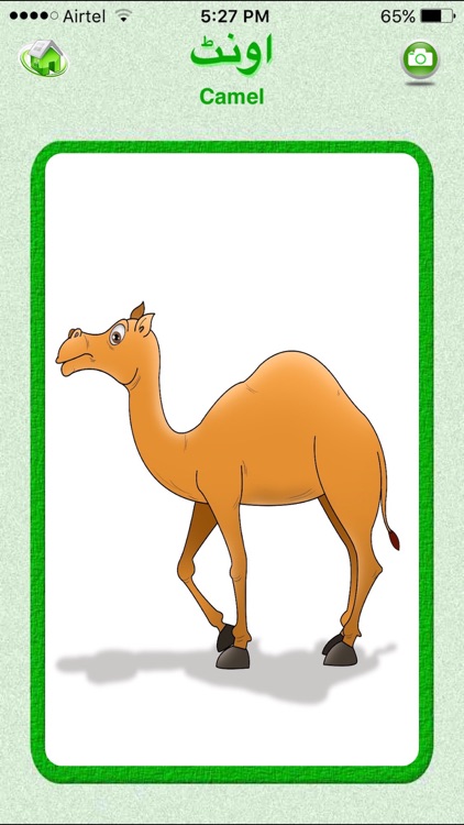 Flashcards Urdu Lesson