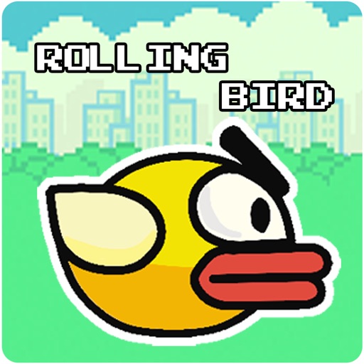 Rolling Birdy Icon