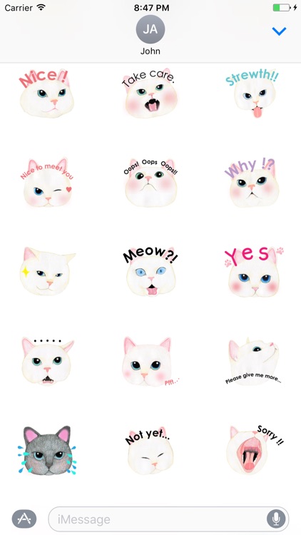 Cat Face Sticker