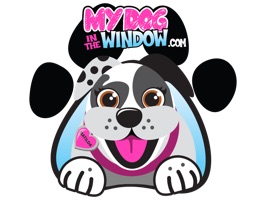 My Dog In The Window has been putting smiles on peoples faces since 2014