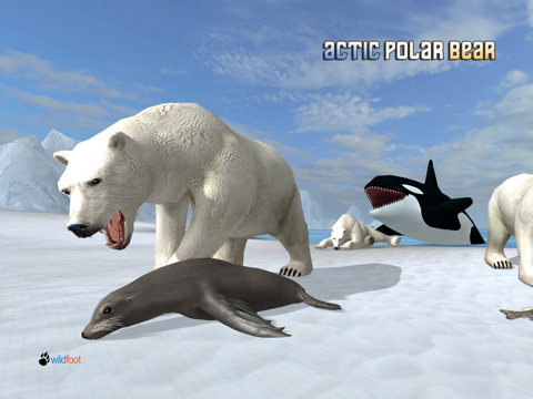 Arctic Polar Bear на iPad