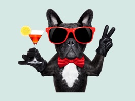 Express yourself in richer ways by using this adorable Frenchie Sticker Pack