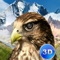 Fly like a bird of prey in falcon survival simulator