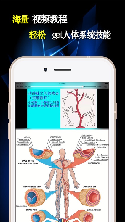 人体系统/结构/部位/奥秘-全套人体解剖