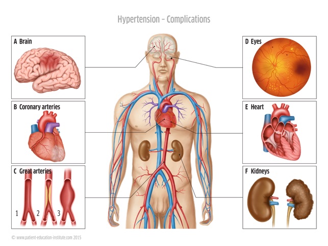 BSC, Belgian Society of Cardiology, Tablet App(圖2)-速報App