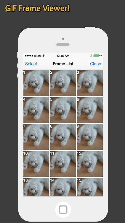 GIF Show - GIF Viewer and Album screenshot-3