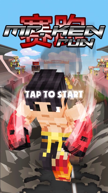 3D Fighting Blocks Skins Running Run Video Game