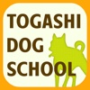 東京でご自宅訪問の犬のしつけ・訓練なら トガシドッグスクール
