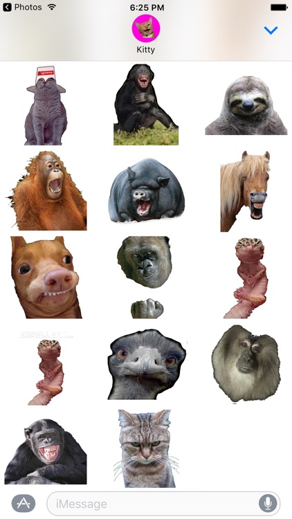 Funny Animals memes stickers pack for iMessage